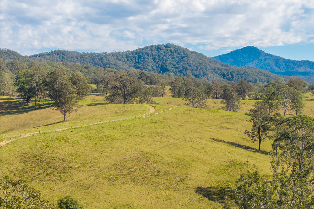 LOT 1 of 4 Hickeys Creek Road Millbank NSW 2440