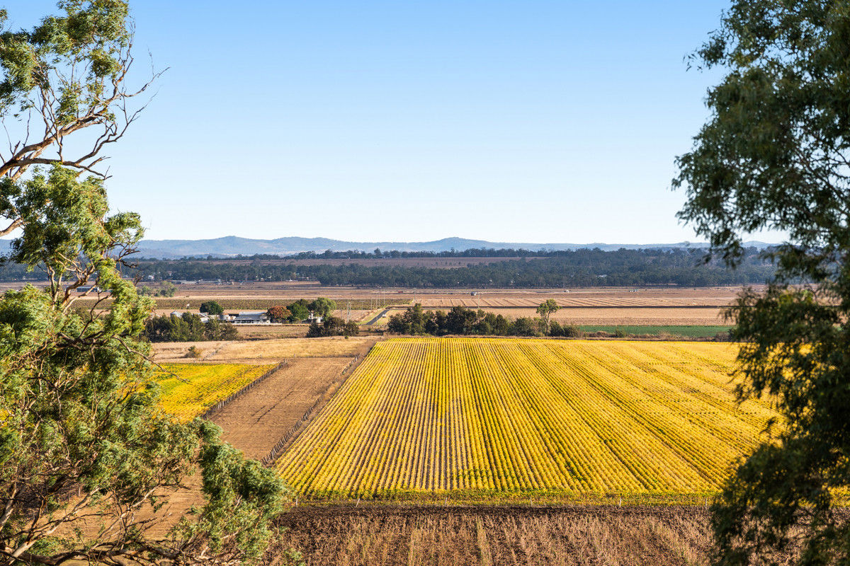  Hillside Road Allora QLD 4362