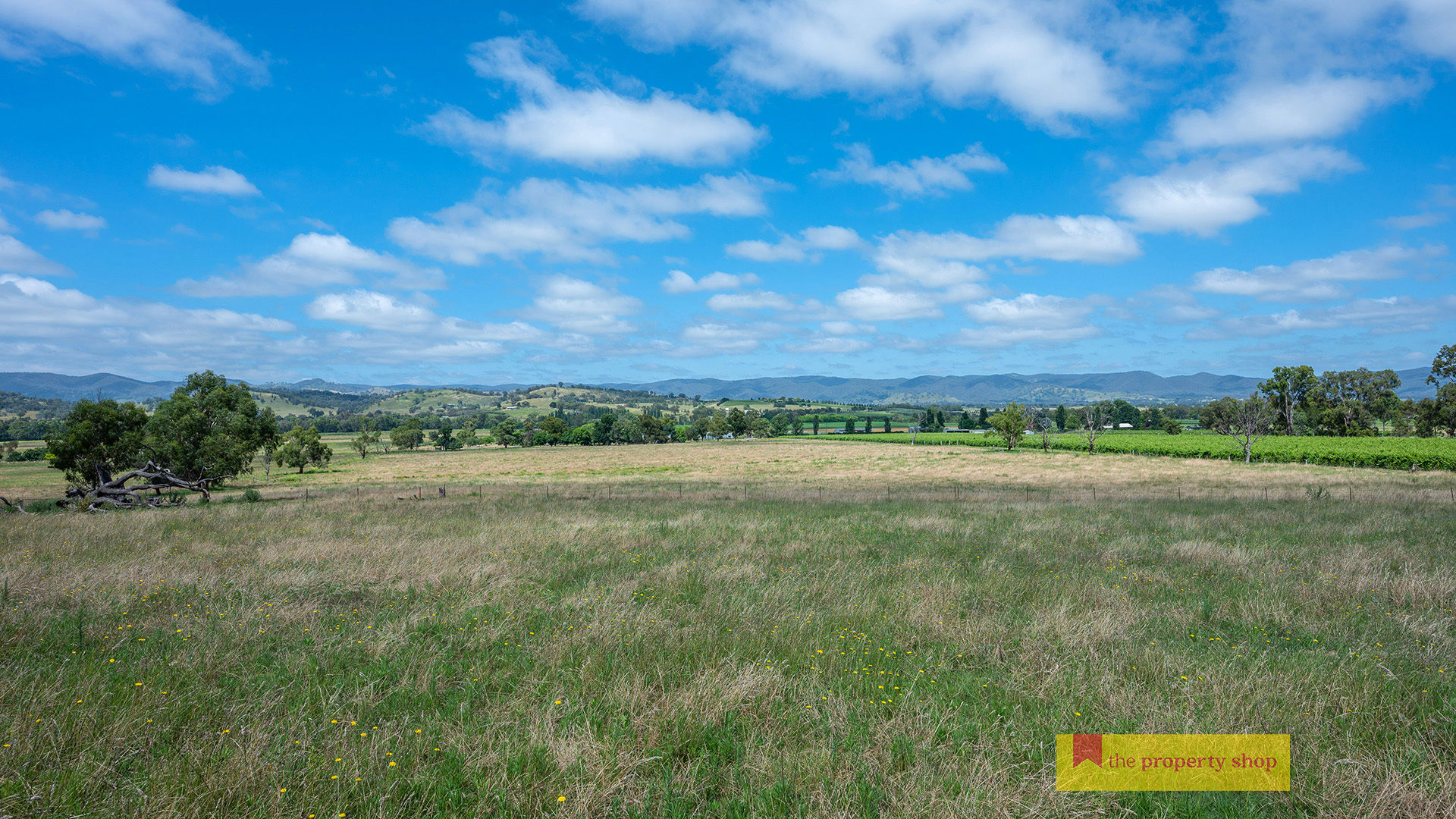 325 Melrose Road Mudgee NSW 2850