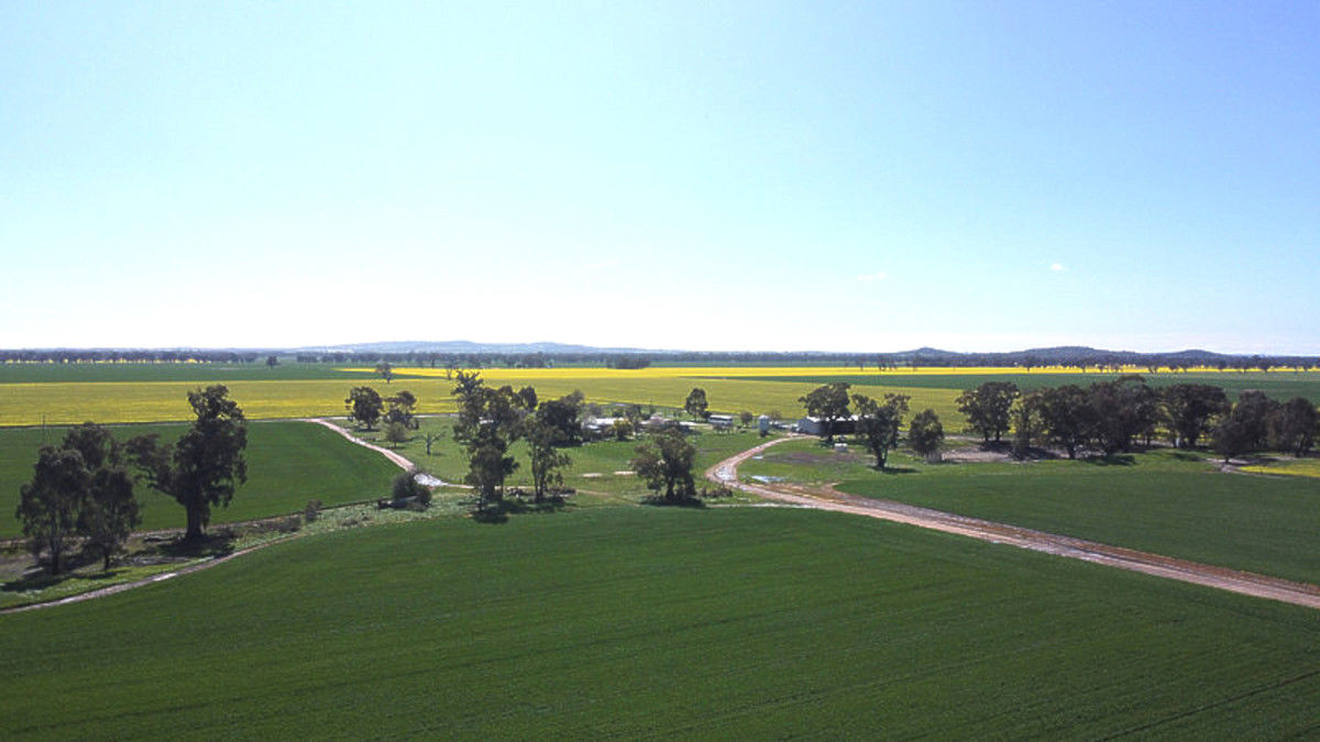 197 Barkers Road Walbundrie NSW 2642