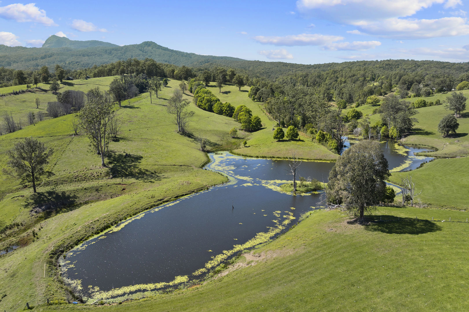 703 Brays Creek Road Brays Creek NSW 2484