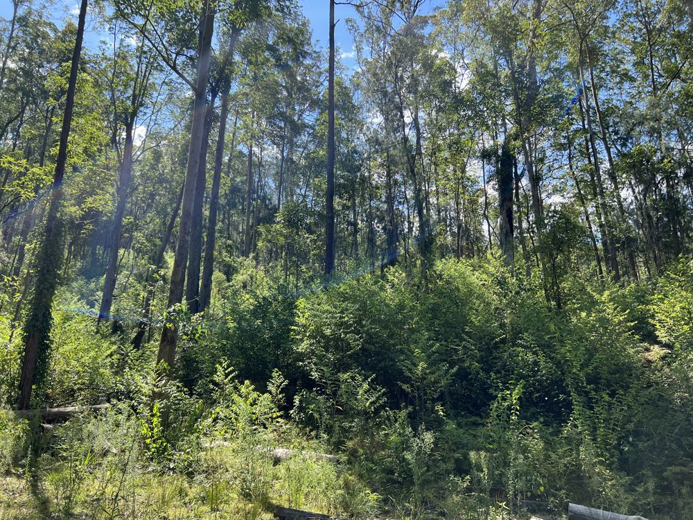 Address available by request