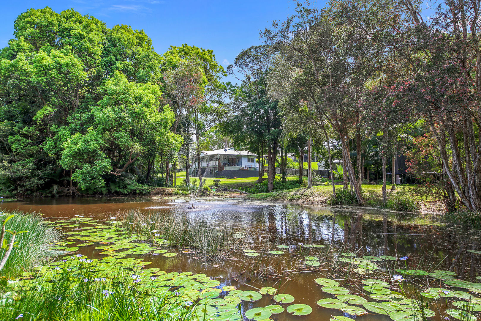 3 Curlew Crescent Cooroy QLD 4563
