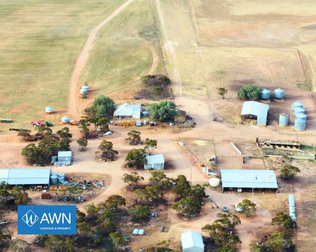 Address available by request