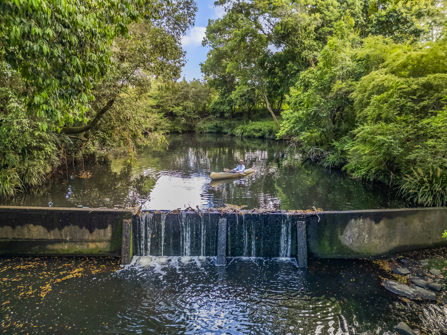 3201 Wallanbah Road Dyers Crossing NSW 2429