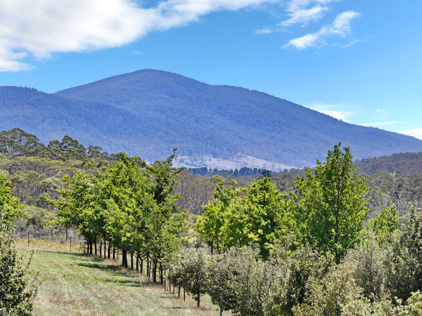 760 Wallaces Gap Road Braidwood NSW 2622