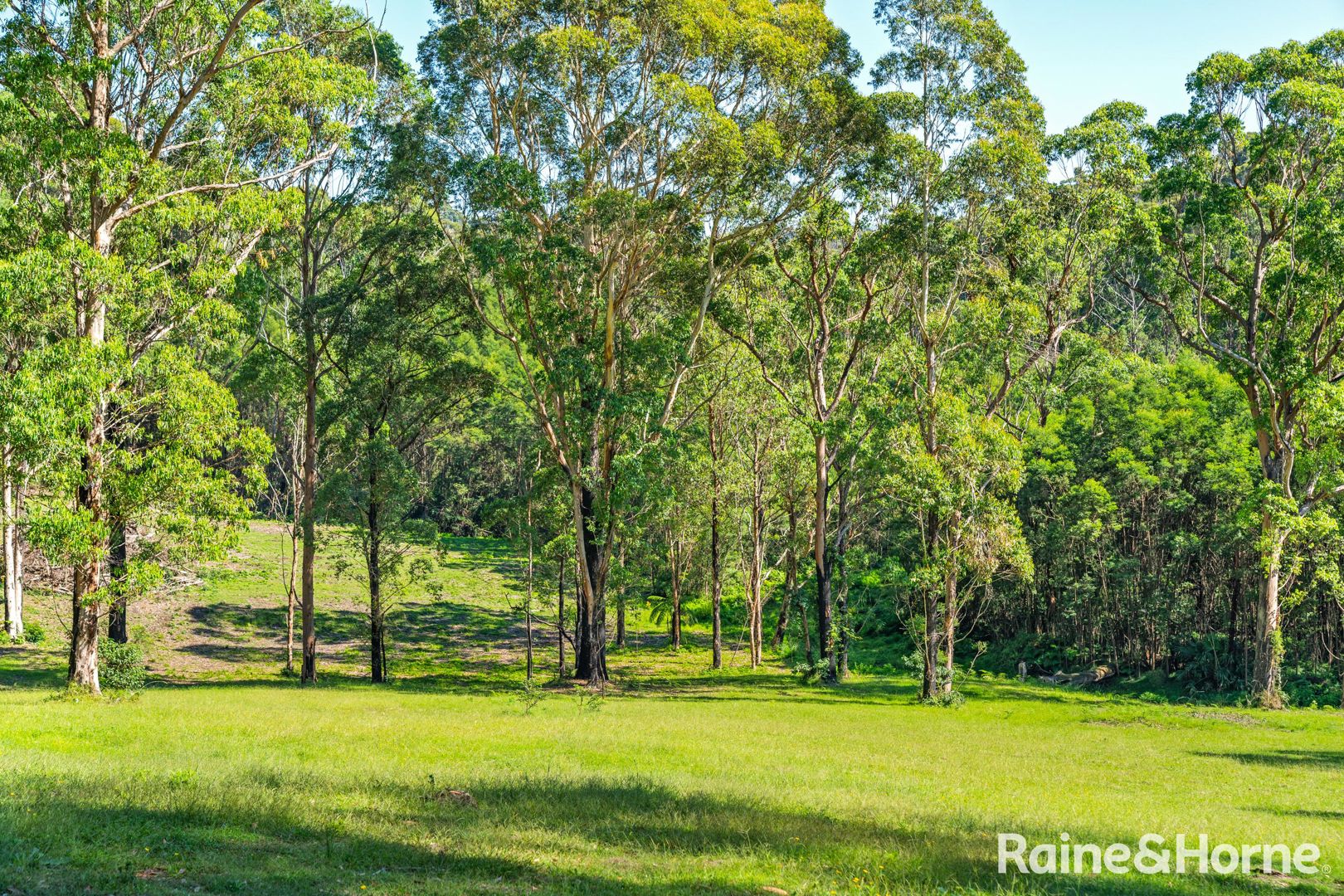 Lot 122 Egans Farm Lane Yatte Yattah NSW 2539