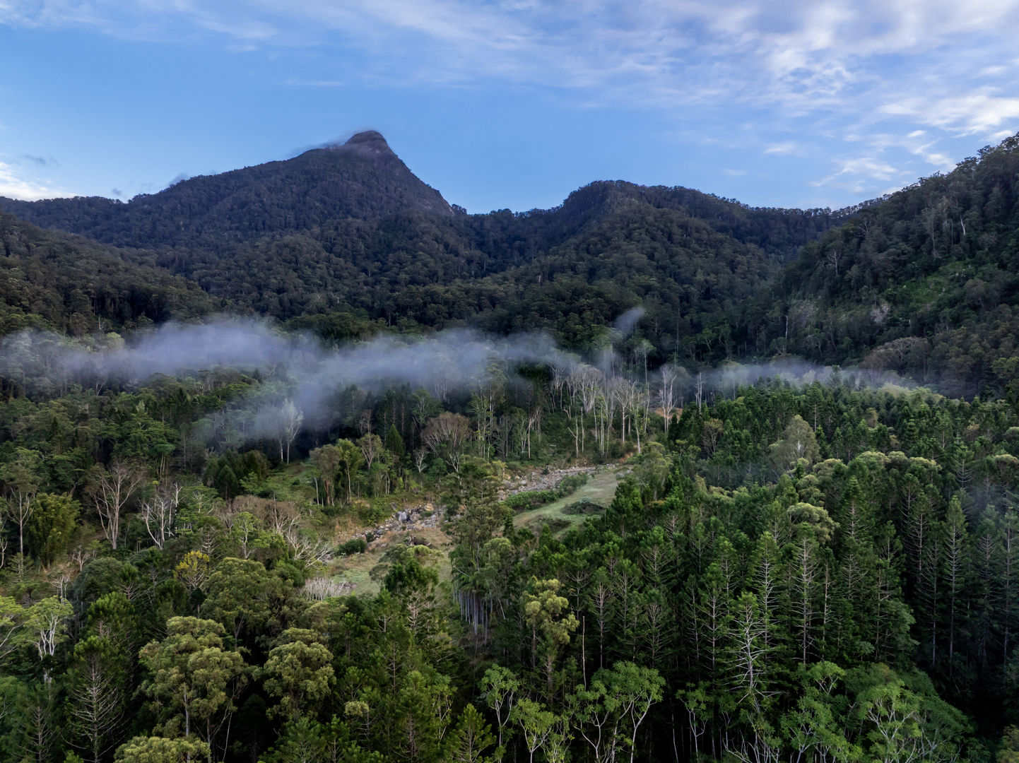 186 Palmers Road Terragon NSW 2484