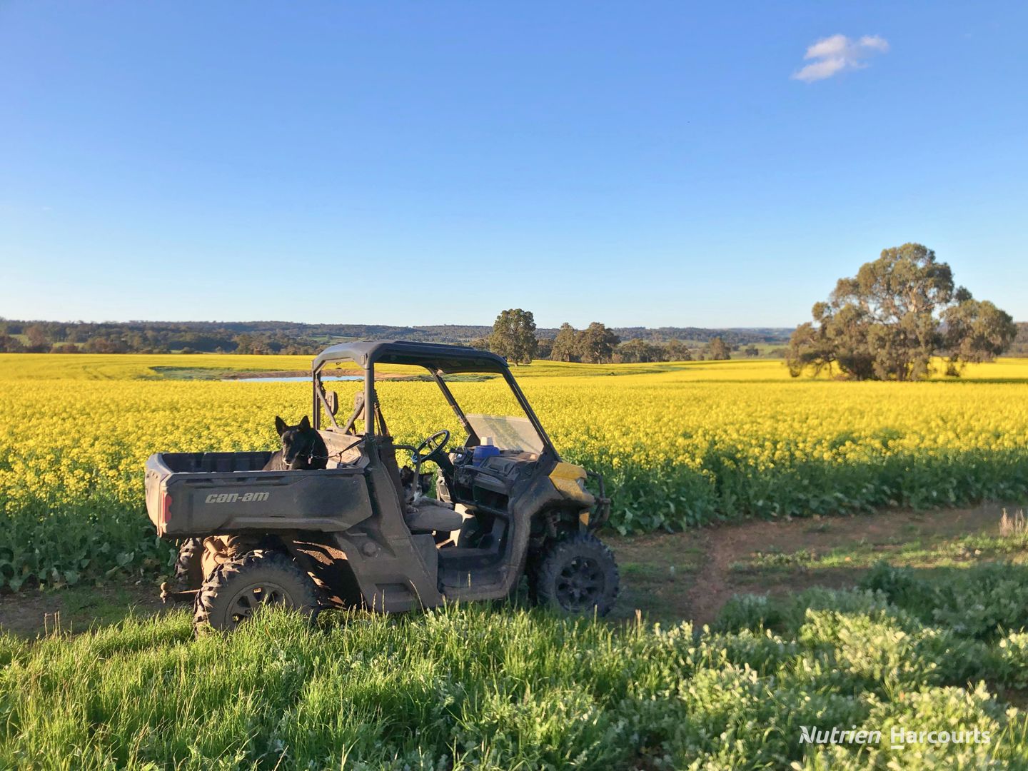 8221 Brookton Highway Jelcobine WA 6306