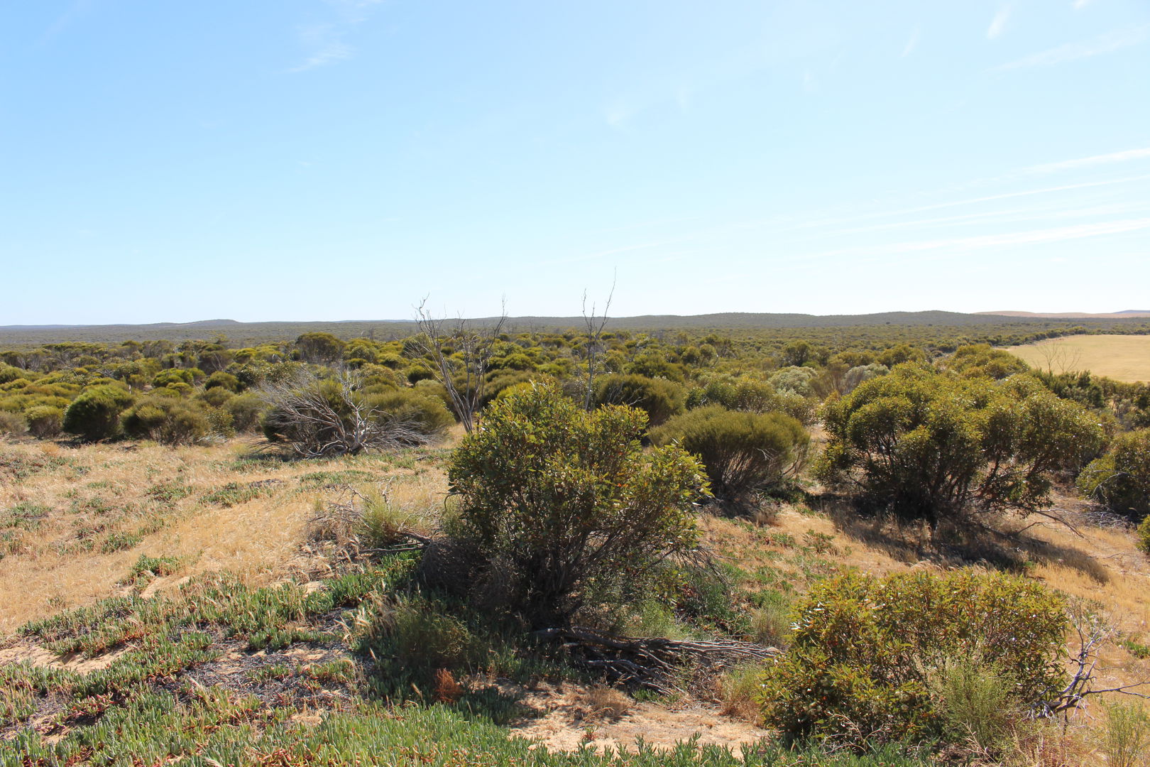 S22 Tori Hills Road Sandalwood SA 5309