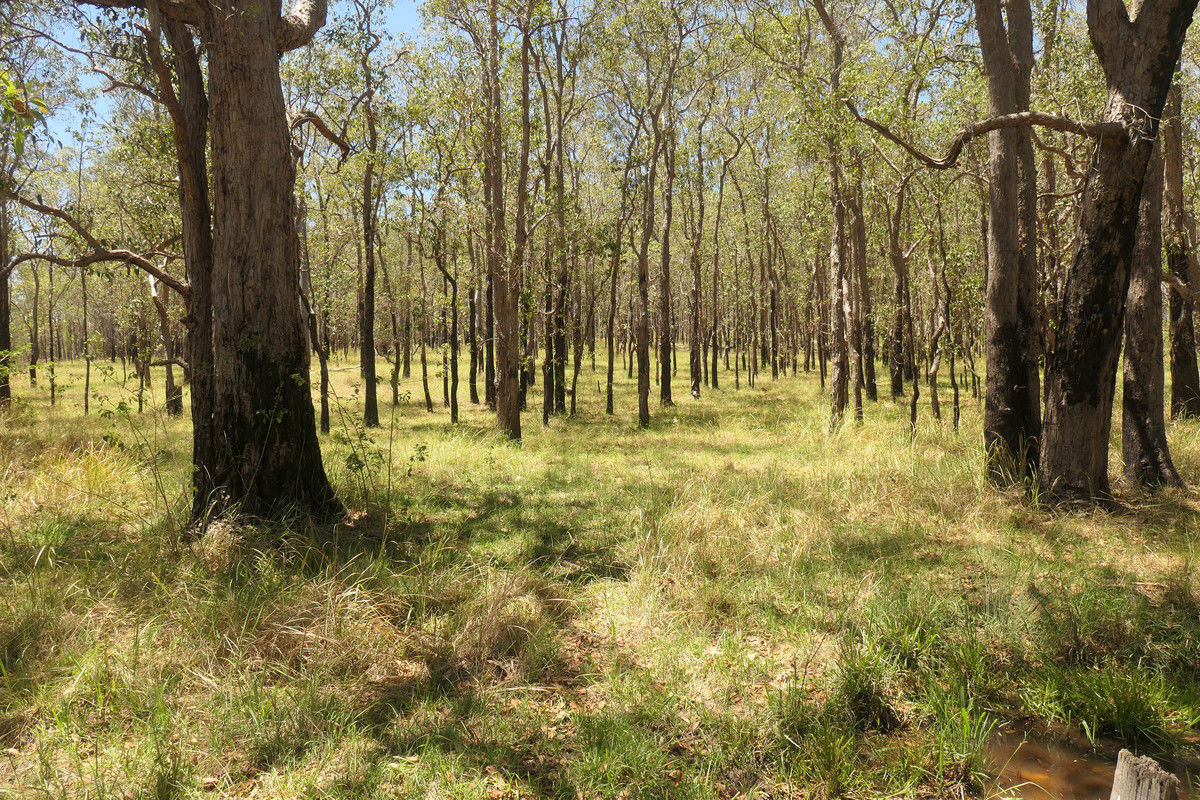 4 Kimbin Pikapene Road Tabulam NSW 2469