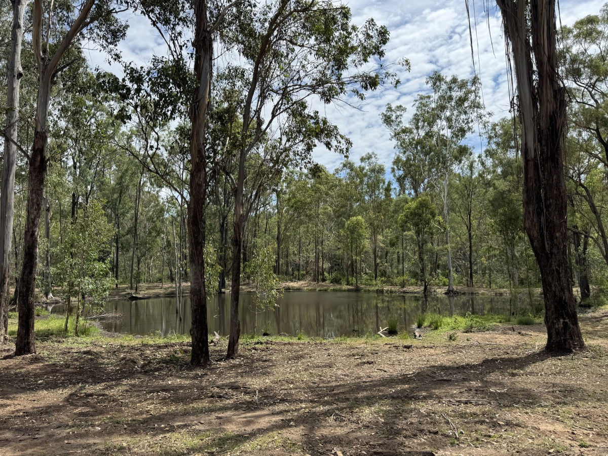  Hurdle Gully Road Monto QLD 4630
