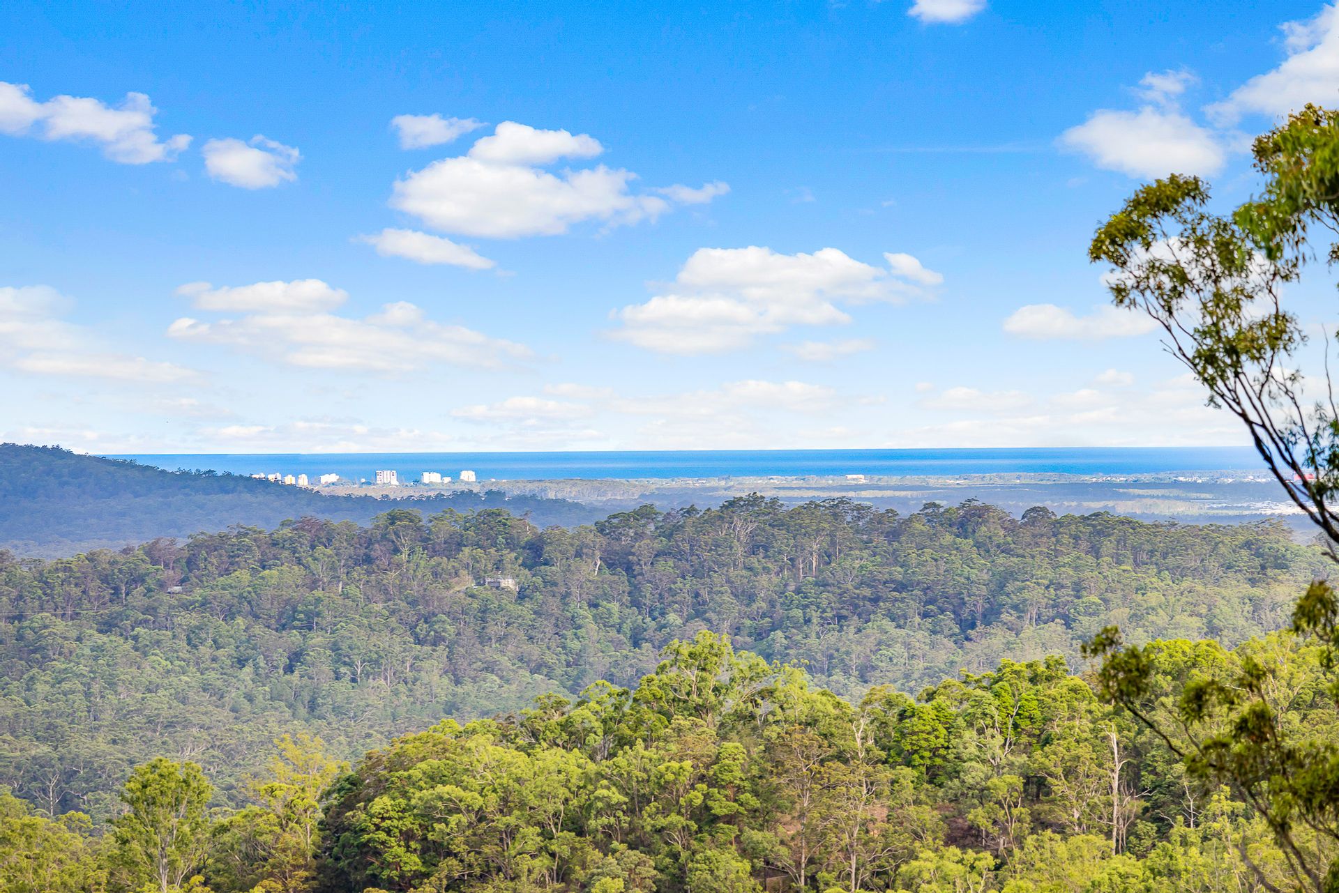 269 Diamond Valley Road Diamond Valley QLD 4553