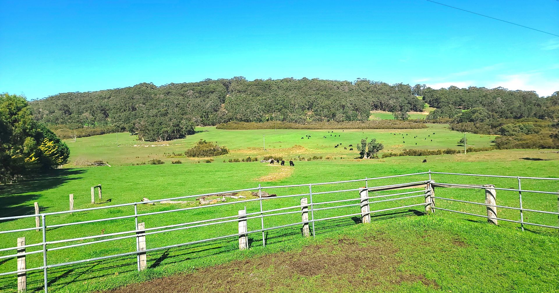 lot 21 hazelvale road Tingledale WA 6333