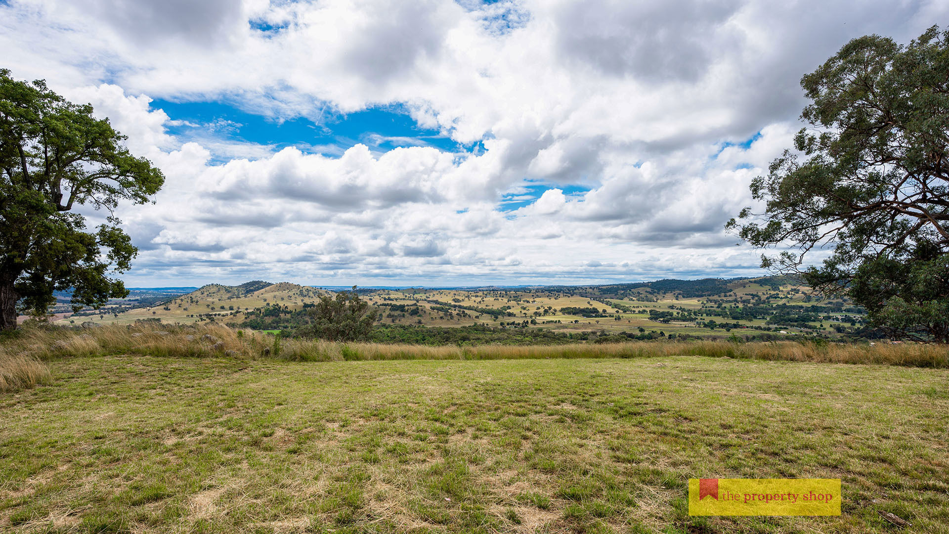 149 Kaludabah Road Mudgee NSW 2850