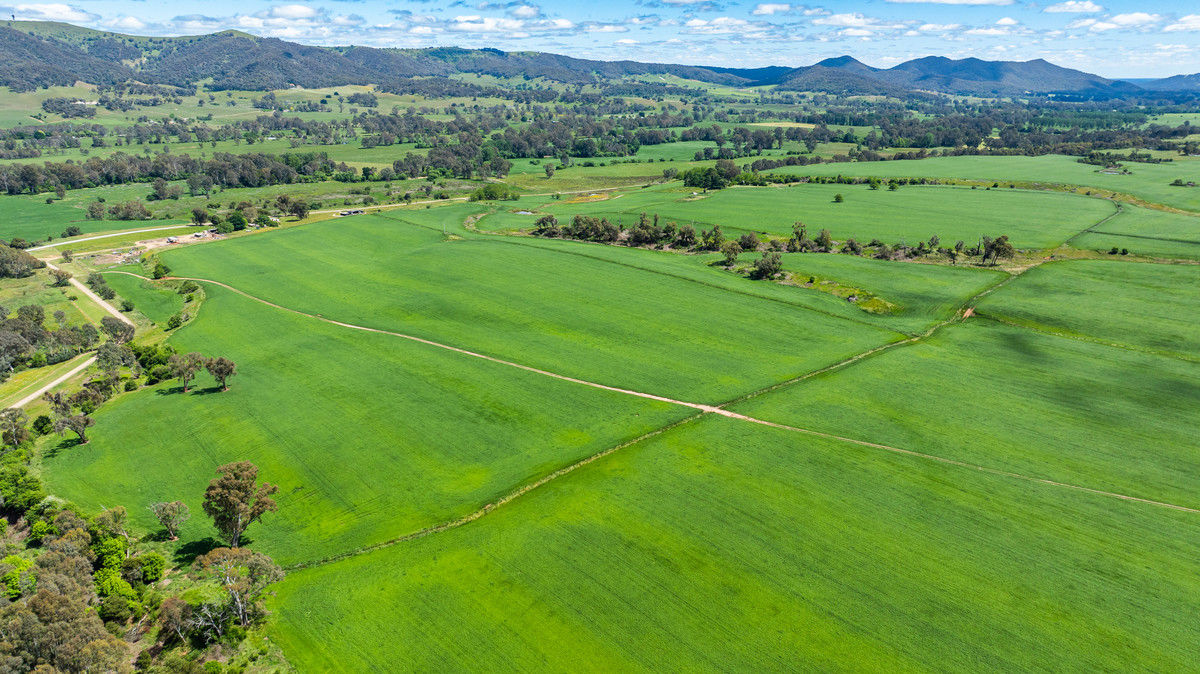 1279 Edi-Cheshunt Road Whitfield VIC 3733