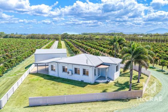79 Inverdon Road Bowen QLD 4805