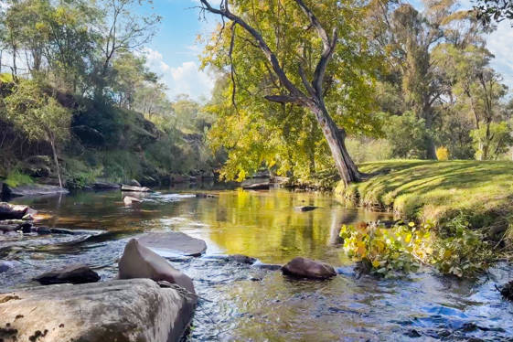 2121 Mt Buller Road Merrijig VIC 3723