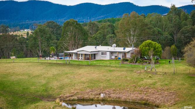 160 Link Road Wandella NSW 2550