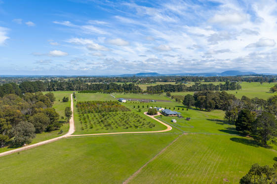185  McNamaras Road Sarsfield VIC 3875