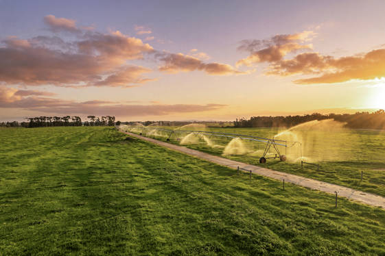 1131 Reservoir Road  Munro VIC 3862