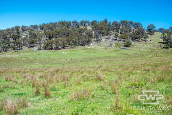 - Ten Mile Rd Deepwater NSW 2371