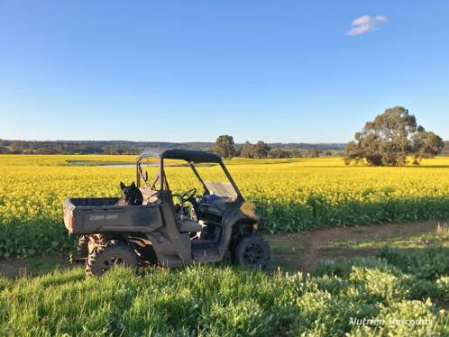 8221 Brookton Highway Jelcobine WA 6306