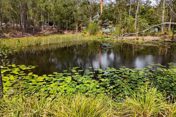 75 Smiths Creek Road Kundabung NSW 2441