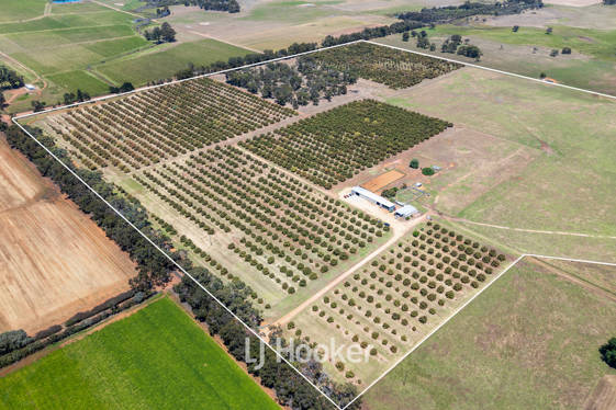 1086 Kaloorup Road, Kaloorup WA 6280