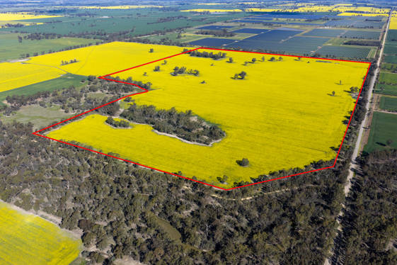 445 Kellys Road Numurkah VIC 3636