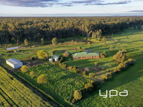 17 Meadow Drive Toolamba VIC 3614