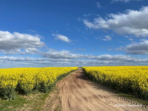 3361 Coorow-Green Head Road Eganu WA 6515