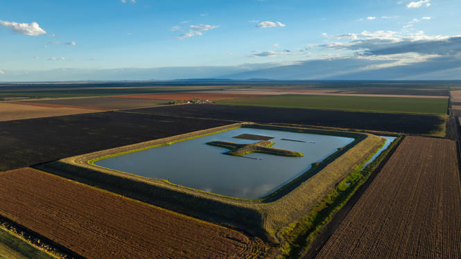 "Glengarry Pampas - Horrane Road Condamine Plains QLD 4352