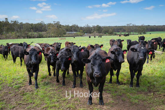 498 Carbunup Road South Treeton WA 6284