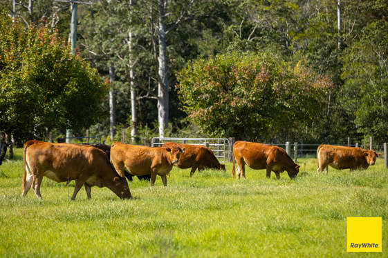 131 Crawford River Road Crawford River NSW 2423