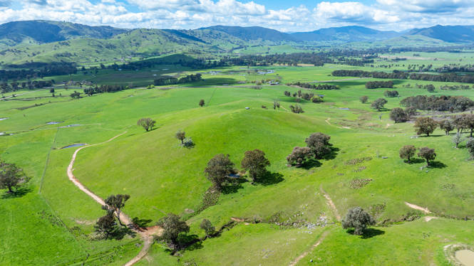  Hibbersons Road Tallangatta South VIC 3701
