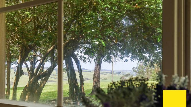 Stony Creek VIC 3957