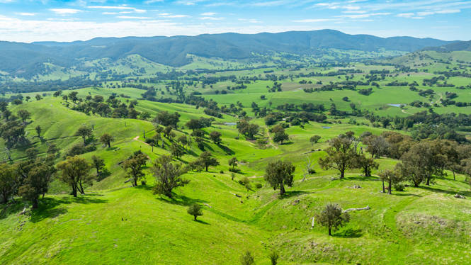  Sandy Creek Road Sandy Creek VIC 3695