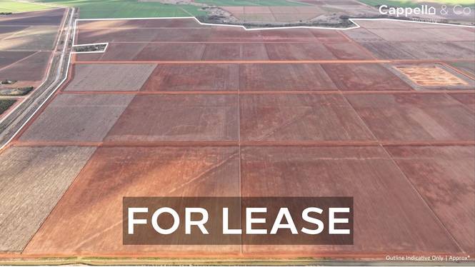 73 Mirrool Branch Canal Road Hanwood NSW 2680