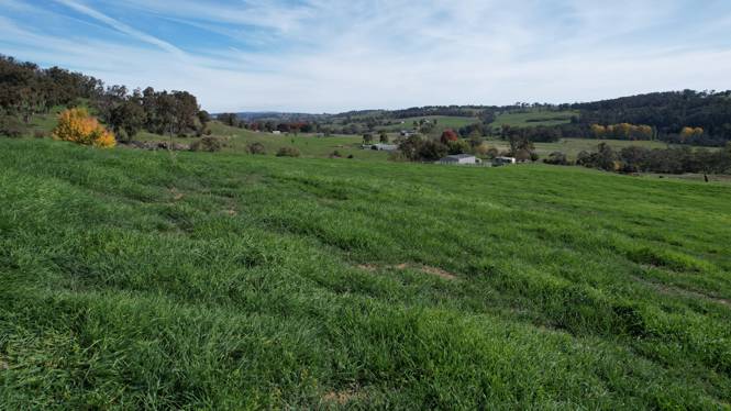 580 Batlow Road Tumbarumba NSW 2653