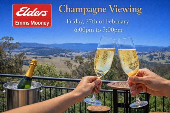 84 Marsden Swamp Road Ganbenang NSW 2790