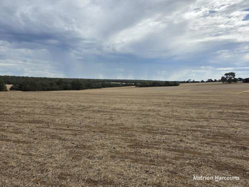 "Bloomvale Bloomfields Road Scotts Brook WA 6244