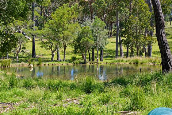 976-996 Bulldog Road ( VIA TABULAM ) Bulldog NSW 2469