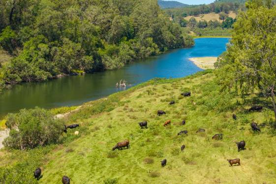 1436 Gowings Hill Road Sherwood NSW 2440