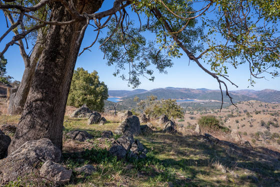 2656 Reg Hailstone Way Wyangala NSW 2808