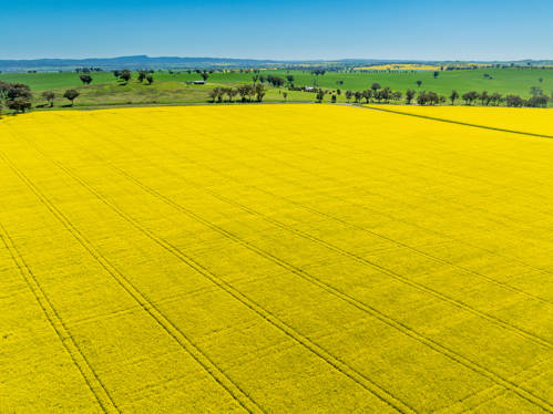 'Smiths' 5 Cargo Road Canowindra NSW 2804