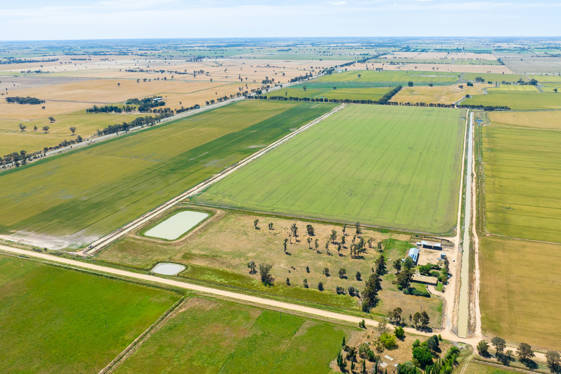 87 Pine Lodge Road Tocumwal NSW 2714