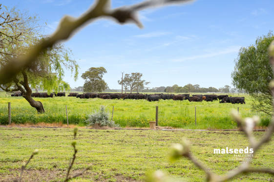  Mingbool Road Mingbool SA 5291