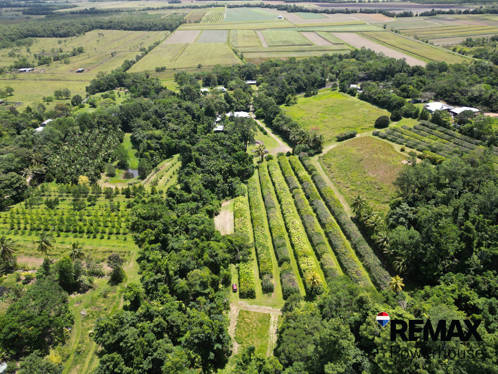 545 East Feluga Road East Feluga QLD 4854