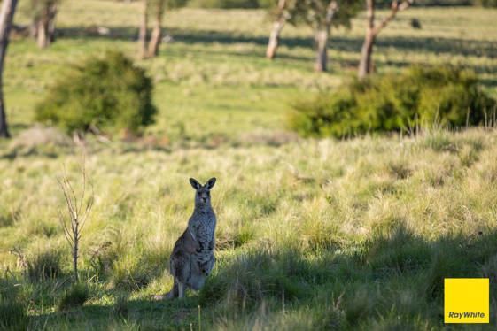 15 Karina Close Armidale NSW 2350